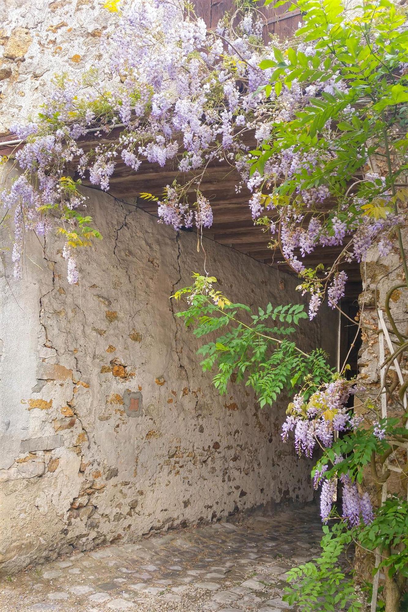 La Maison de Sophie, à longjumeau Exterior foto